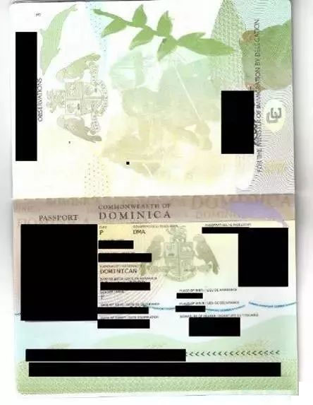 如何移民到多米尼克？這個加勒比小國的護照有多好用？