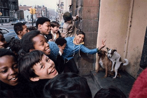 美國(guó)窮人的真實(shí)生活，看完感慨萬(wàn)千！